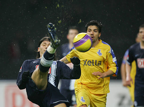 他们在灰熊 他们在灰熊